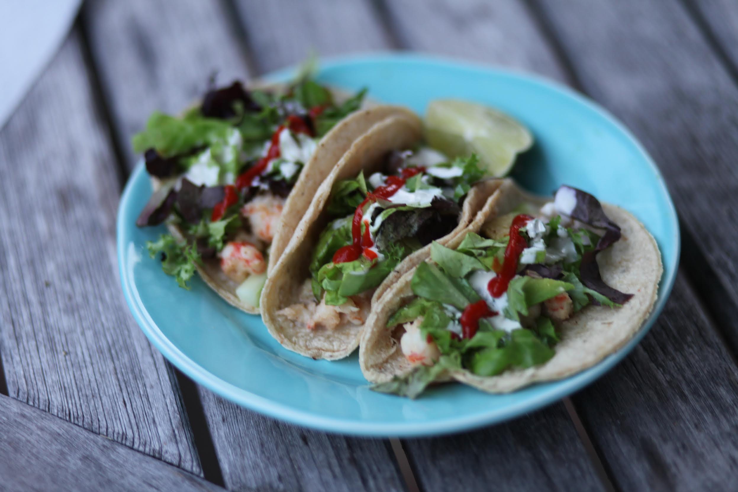 Tapp Francke’s Rock Shrimp Tacos The Purist