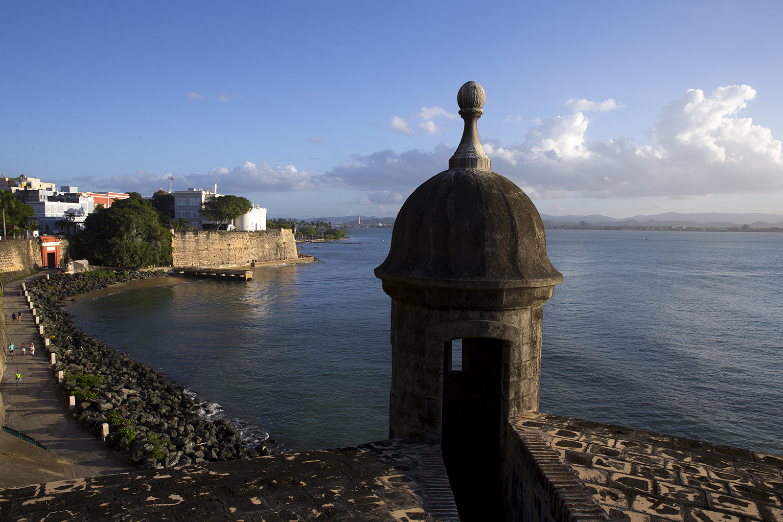 Building A New Puerto Rico - The Purist