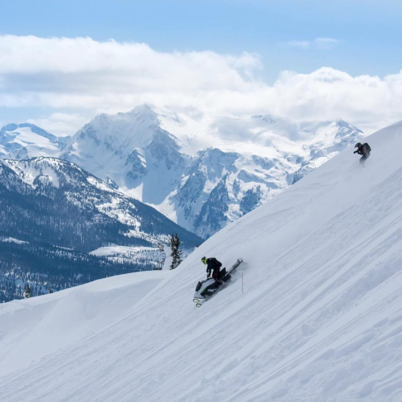 SkiCo: Skiier's Edge at Four Mountain Sports - The Purist