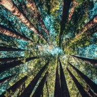 Earth Day Home Health Tips Earth Day Home Health Tips