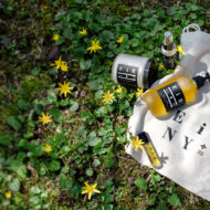 Earthbound Beauty Earthbound Beauty