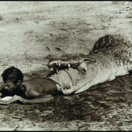 Peter Beard: Wild At Heart Peter Beard: Wild At Heart