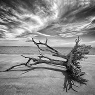 Grief in the Absence of Normal