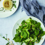 Mind-Body Nourishment