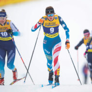 FIS world cup cross-country, individual sprint, Oberstdorf (GER)