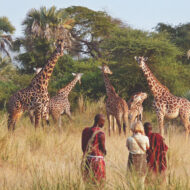 Chem-Chem-Lodge-Slow-Safari-Tanzania-East-Africa-Bush-Walk-Giraffe-Maasai
