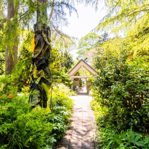 The Magic of Longhouse Reserve - The Purist