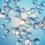 ​​Rethinking NAD+
