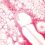 Heart Health Strategies From Stony Brook Cardiology