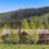 Discover Aspen Through Its Most Distinctive Homes