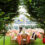 Beautopia Blooms at LongHouse Reserve