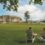 Canyon Ranch, A Summer Sanctuary