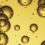 Exploring Urine Therapy