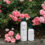 Lindsey Boyd Brings a Fresh Perspective to Fabric Care With Lindry Lab