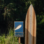 Paul Brooke Photography(11)
