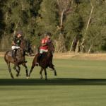 Purist Hosts Tuesday Twilight Polo at Aspen Valley Polo Club Purist Hosts Tuesday Twilight Polo at Aspen Valley Polo Club
