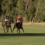 Purist Hosts Tuesday Twilight Polo at Aspen Valley Polo Club
