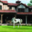 Aspen Valley Polo Club at Sunset, Summer at Its Best