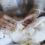In Good Company: Vanessa Cornell’s Stitch Club